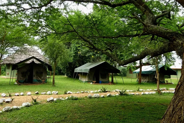 How To Travel Uganda On a Budget